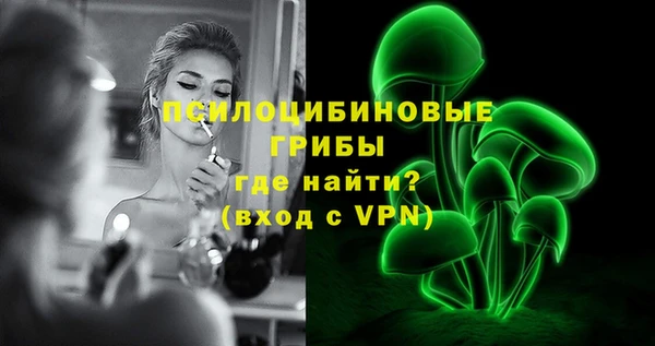 соль ск Арсеньев