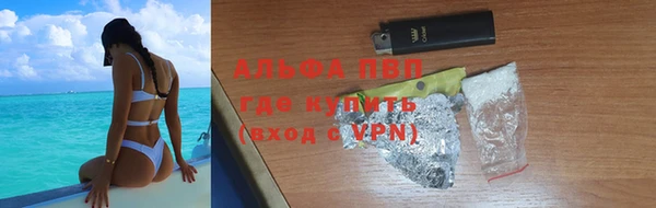 apvp Алзамай