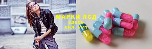 apvp Алзамай