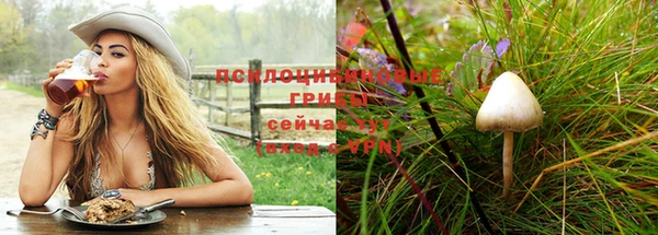 apvp Алзамай