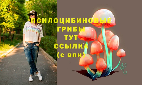 сатива Армянск