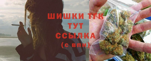 соль ск Арсеньев