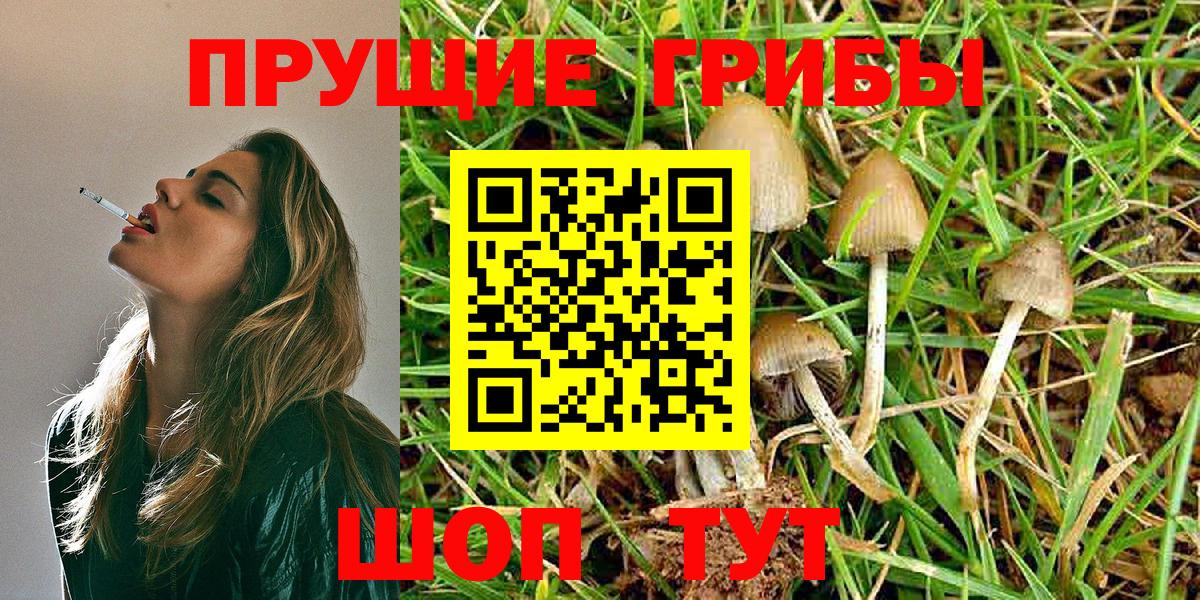 Галлюциногенные грибы Psilocybe Миасс